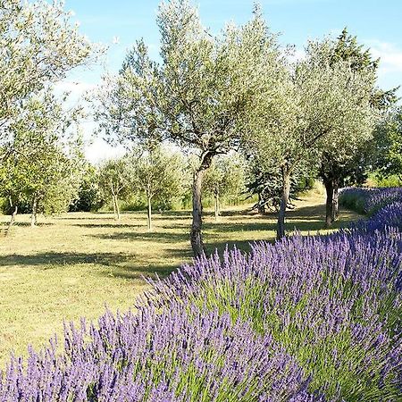 فندق Le Vieux Platane كيران المظهر الخارجي الصورة