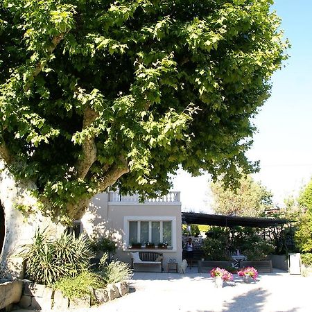 فندق Le Vieux Platane كيران المظهر الخارجي الصورة