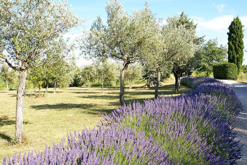 فندق Le Vieux Platane كيران المظهر الخارجي الصورة